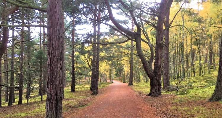 Recorriendo el Camino de Speyside - Exodus Adventure Travels 5