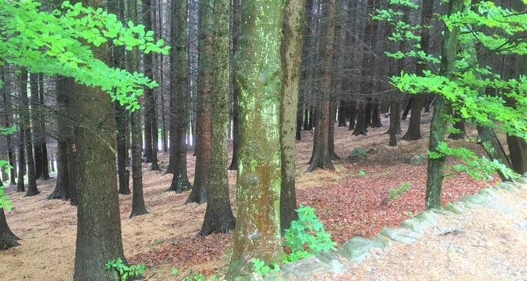 Recorriendo el Camino de Speyside - Exodus Adventure Travels 3