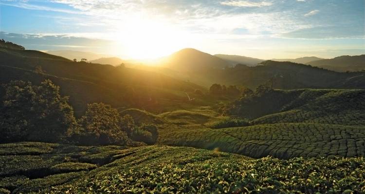 CIRCUIT PREMIUM EN MALAISIE : KUALA LUMPUR ET PENANG EN VEDETTE - Tweet World Travel 3
