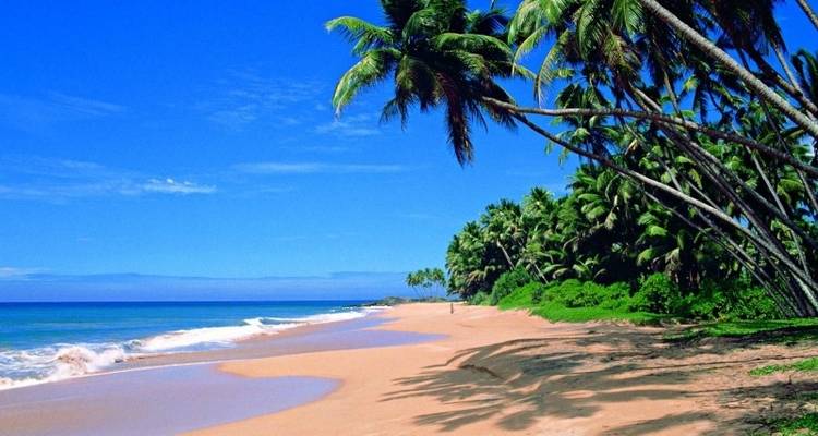 Paquete de luna de miel de lujo en Sri Lanka - Tweet World Travel 3