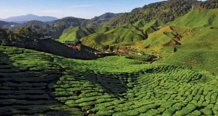 7D6N Ronda Ronda : Kuala Lumpur à Kuala Lumpur - Tweet World Travel 4