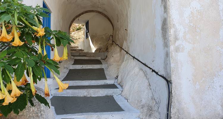 Passage voûté en pierre avec des fleurs épanouies.