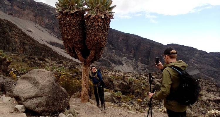 Wandelaars die poseren bij unieke planten tijdens een bergtocht.