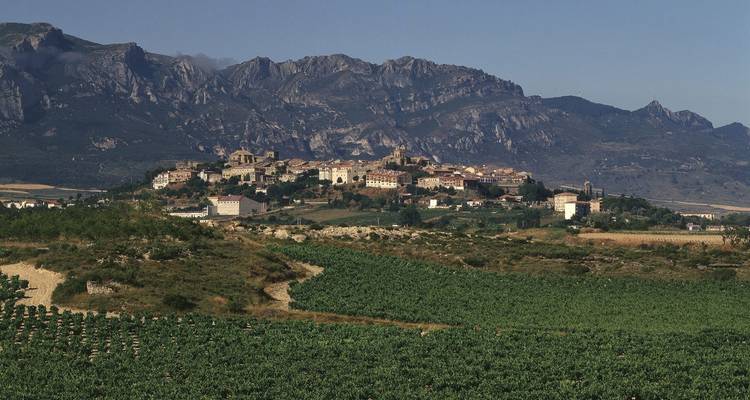La Rioja y País Vasco | España | Visita guiada en bicicleta - Terranova Touristik 1
