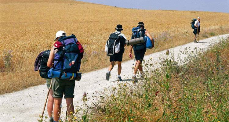 La Rioja y País Vasco | España | Visita guiada en bicicleta - Terranova Touristik 4