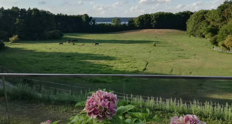 Région des lacs du Mecklembourg | Voyage guidé en Ebike | Lacs, châteaux et villages idylliques - Terranova Touristik 1