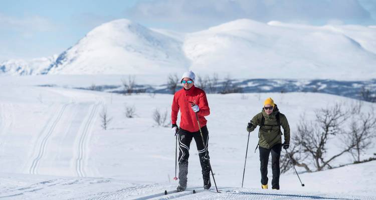 Deux personnes faisant du ski de fond dans un paysage enneigé.