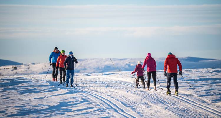 Groupe de personnes faisant du ski de fond sur une colline enneigée.
