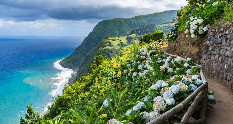 Escapade aux Açores - Wingbuddy 9