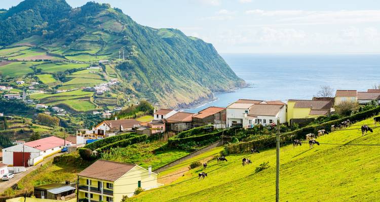 Escapade aux Açores - Wingbuddy 6
