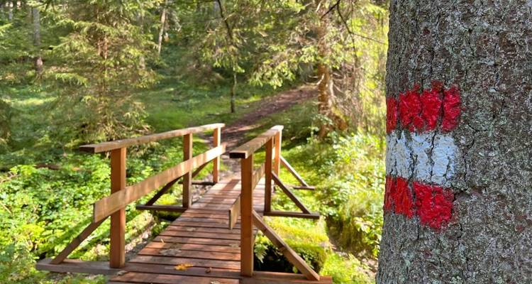 Encantadora Kitzbühel con encanto - Eurohike 6