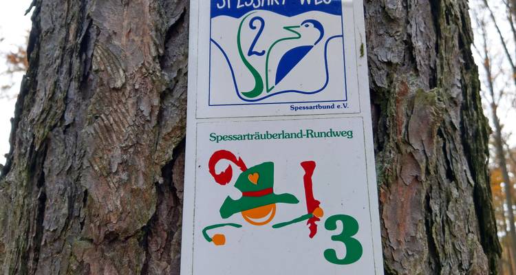 Magical Spessart - Eurohike 4