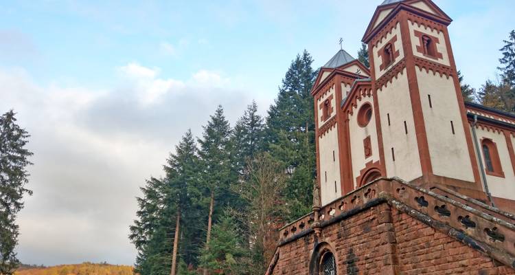 Magical Spessart - Eurohike 7