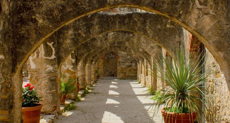 Spotlight on San Antonio - Collette 9