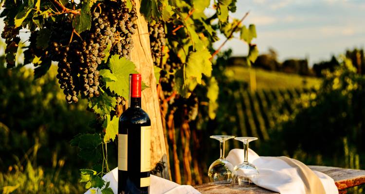 Saveur de la Toscane et des Cinque Terre 4 étoiles - Destination Italia 8