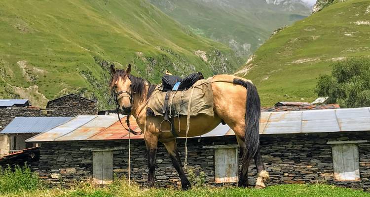 Circuit de 3 jours à Tusheti : Explorez la nature sauvage préservée - Friendly Georgia 8