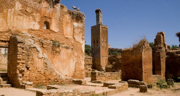 Ruins with a stork's nest and a minaret in the background.