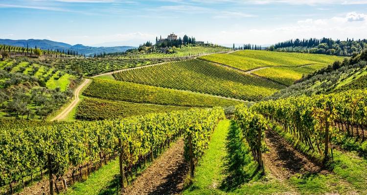 Flavor of Tuscany & Cinque Terre 3* - Destination Italia 1
