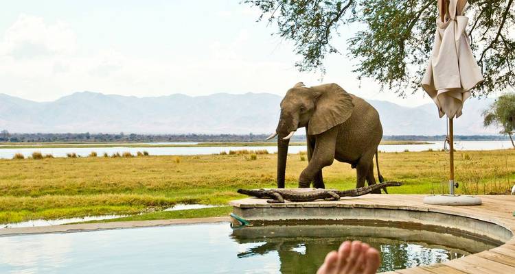 8 días de lujo en el Serengeti y Katavi de Tanzania - Little Roz Tours 4
