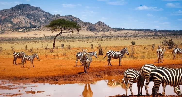 8 días de lujo en el Serengeti y Katavi de Tanzania - Little Roz Tours 3