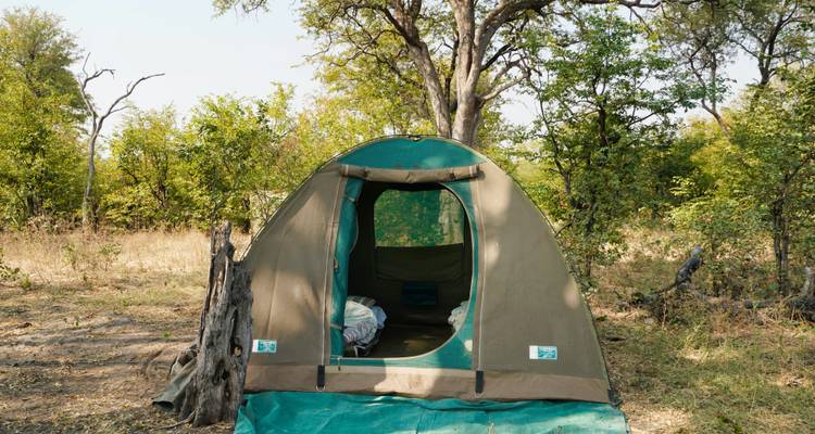 Desde Livingstone: 3 días - Explora el Parque Nacional de Lochinvar para una excursión de observación de aves - Lochinvar Safaris 9