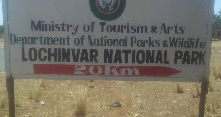 Desde Livingstone: 3 días - Explora el Parque Nacional de Lochinvar para una excursión de observación de aves - Lochinvar Safaris 1