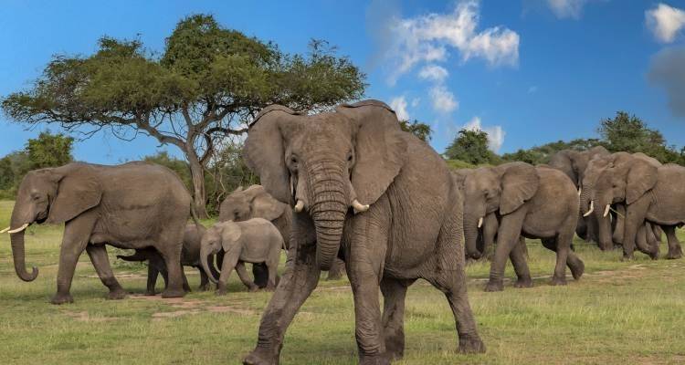 Tanzania & Zanzibar - 10 days - On The Go Tours 1