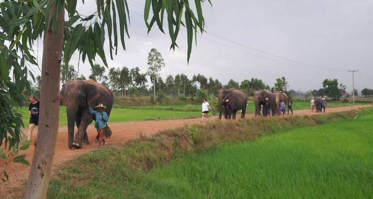 2 países - Tailandia y Camboya - solo mayores de 40 años - Trunk Travel 10