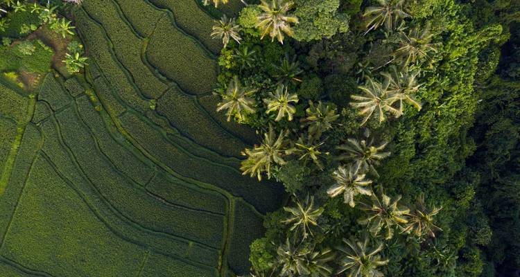 Essence de Bali en 10 jours - Circuit privé de luxe - Realistic Asia 10