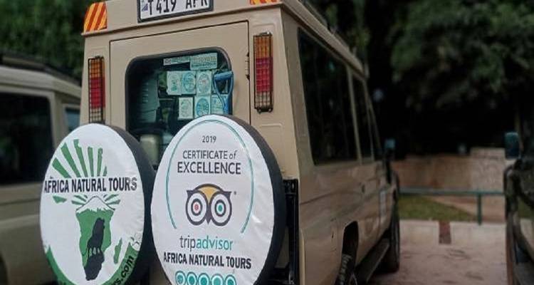 Close-up van de achterkant van een safarivoertuig met zichtbare logo's.