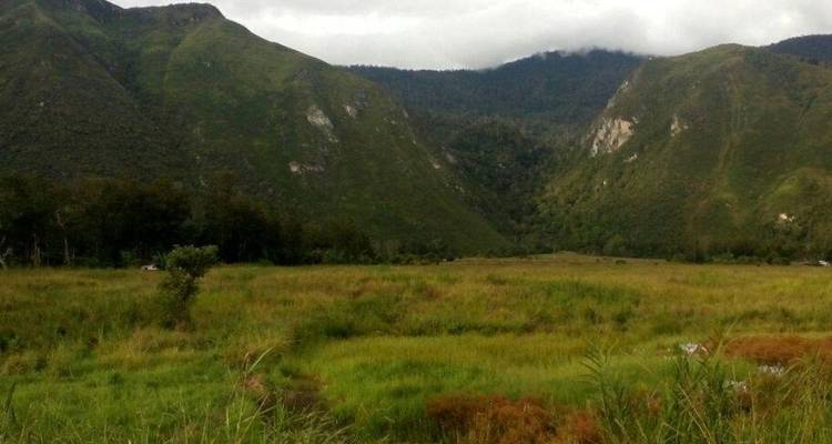La vallée de Balliem dans la PAPOUA en 8 jours - Realistic Asia 8