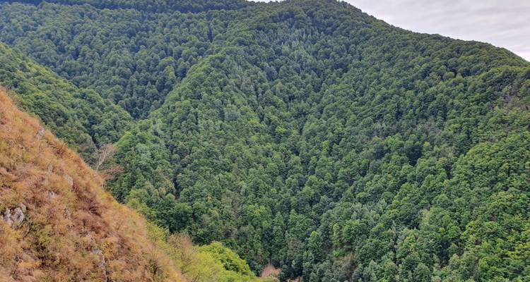 2 Days Private Tour Transfagarasan Road & Sibiu (June - October) from Bucharest - Nicolas Experience Tours 6