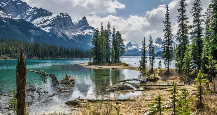 Schilderachtig uitzicht op een meer en bos met bergen in de verte.