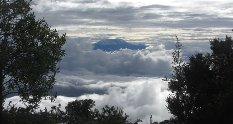 Escalada al Kilimanjaro - Ruta Machame - 7 Días - Marangu Treks 1