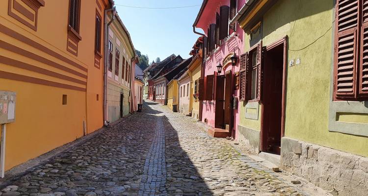 Bran Castle (Dracula's Castle), Peles Castle and Brasov City - Private Tour from Bucharest - Nicolas Experience Tours 6
