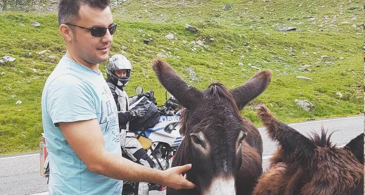 Transfagarasan Road Private Day Trip from Bucharest / The Best Road in the World - Nicolas Experience Tours 3