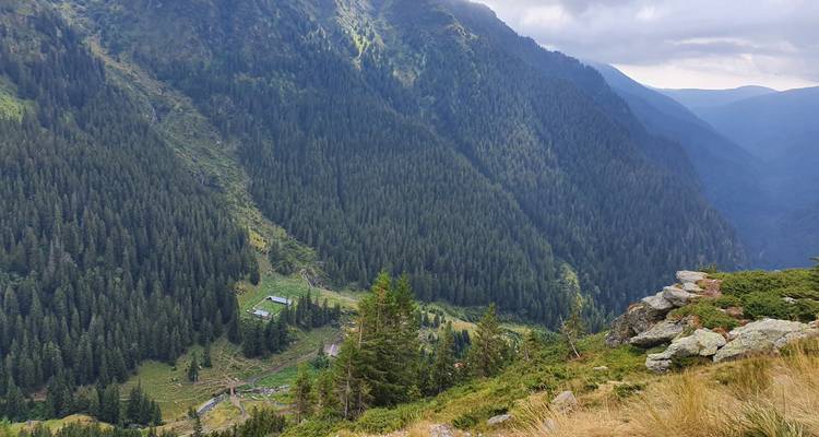 Transfagarasan Road Private Day Trip from Bucharest / The Best Road in the World - Nicolas Experience Tours 10