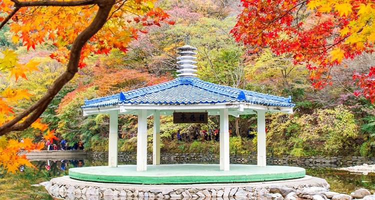 6 Days of Culinary Culture & Korean Heritage - Private Tour (Seoul/Jeonju/Gwangju/Suncheon) - Realistic Asia 6