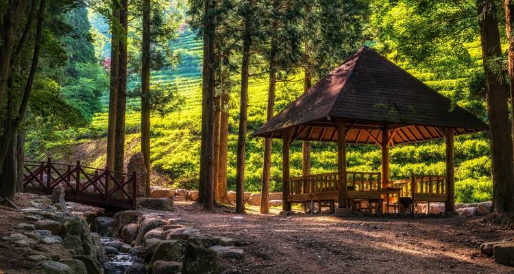 6 Days of Culinary Culture & Korean Heritage - Private Tour (Seoul/Jeonju/Gwangju/Suncheon) - Realistic Asia 7