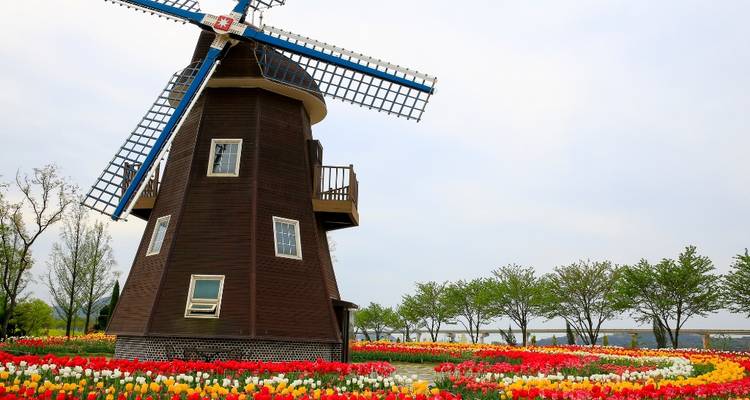 6 Days of Culinary Culture & Korean Heritage - Private Tour (Seoul/Jeonju/Gwangju/Suncheon) - Realistic Asia 9