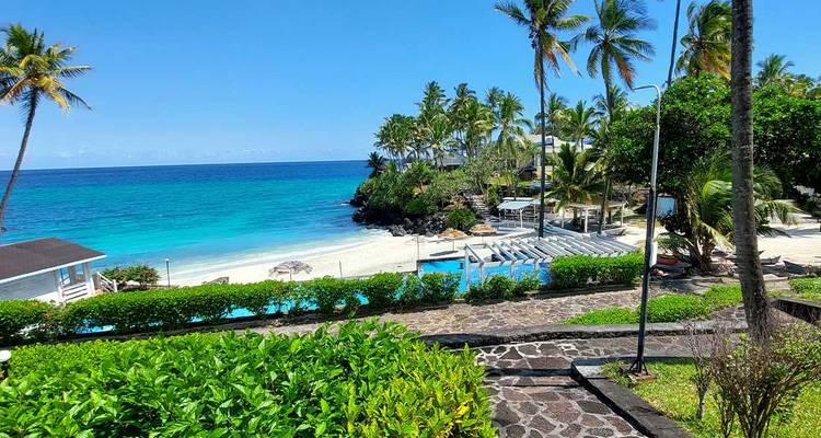 Comores : Expédition de la faune et de la flore - Intrepid Travel 3