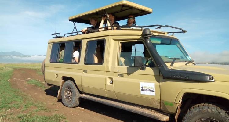10 Días de Aventura en el Kilimanjaro y Safari - Marangu Treks 2