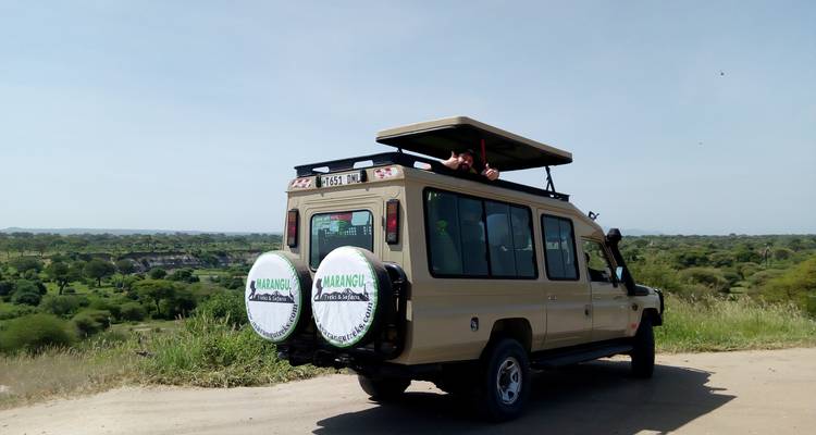 10 Días de Aventura en el Kilimanjaro y Safari - Marangu Treks 4