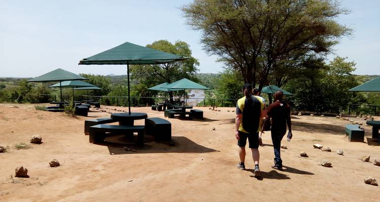 10 Días de Aventura en el Kilimanjaro y Safari - Marangu Treks 7