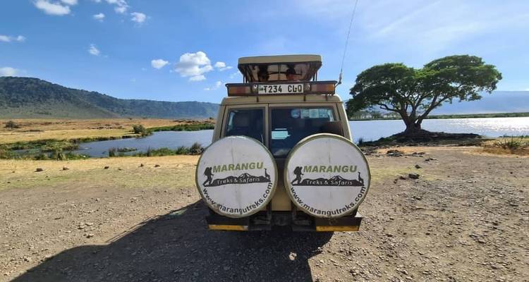 Safari vehicle near a watering hole.
