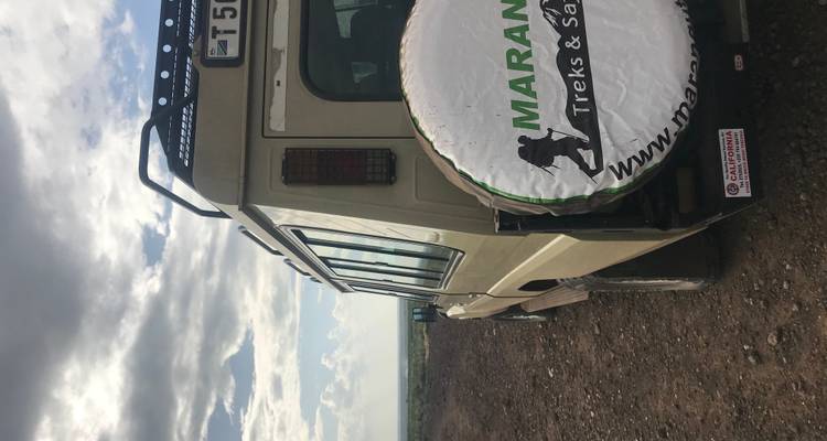 Close-up of a safari vehicle.