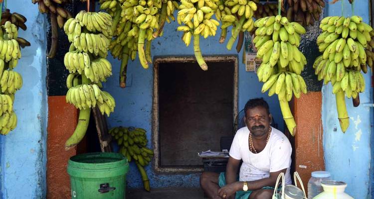Kerala & Tamil Nadu Tour By Train [13 Days] - TTI TOURS 6