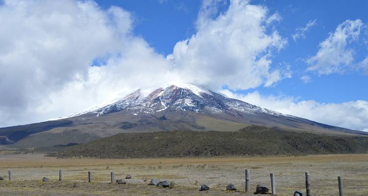 8 Days Cuyabeno Wildlife Reserve and Middle of the World Discovery - Responsible Travel South America 3