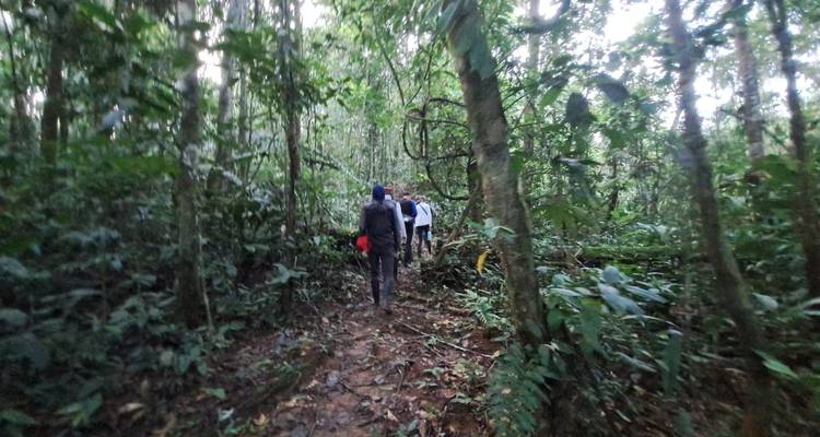 8 Days Cuyabeno Wildlife Reserve and Middle of the World Discovery - Responsible Travel South America 4