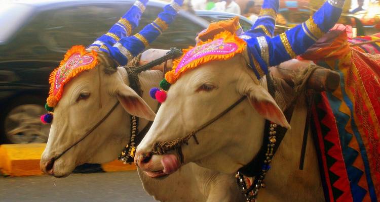 Mumbai To Goa Tour By Train [6 Days] - TTI TOURS 2